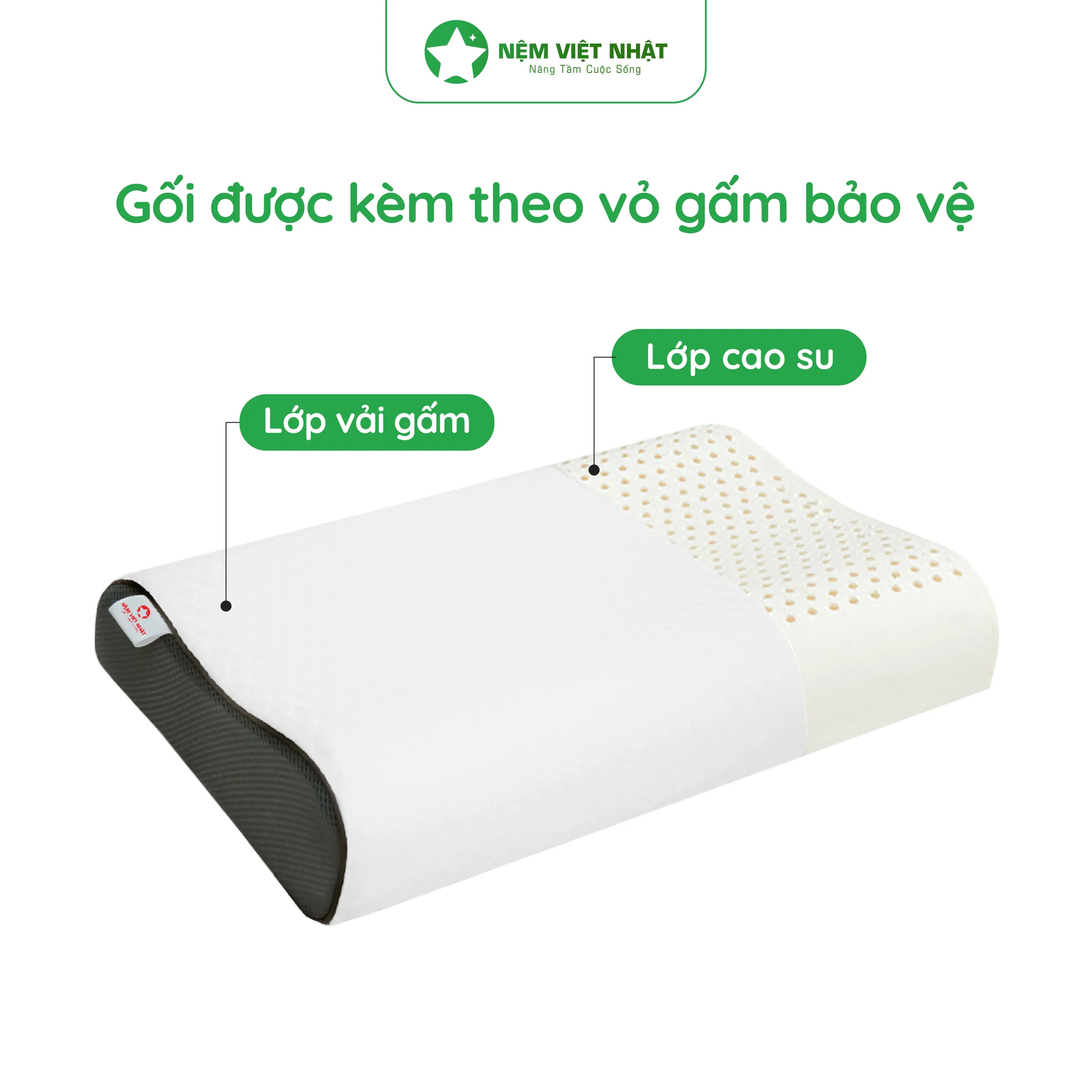 Cấu tạo