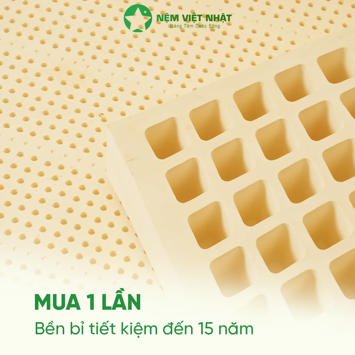 Nệm Cao Su Thiên Nhiên Việt Nhật Natural - Êm Ái Tuyệt Đối, Nâng Đỡ Chuẩn Cột Sống - Ảnh 15