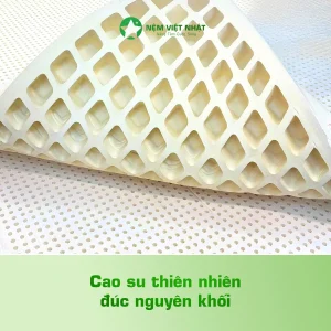cấu tạo nệm cao su thiên nhiên hàng ngàn lỗ thoáng khí chống nóng lưng