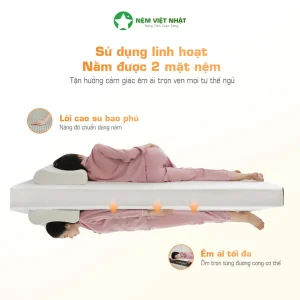 nệm cao su ultimate nâng đỡ đa vùng giảm đau lưng
