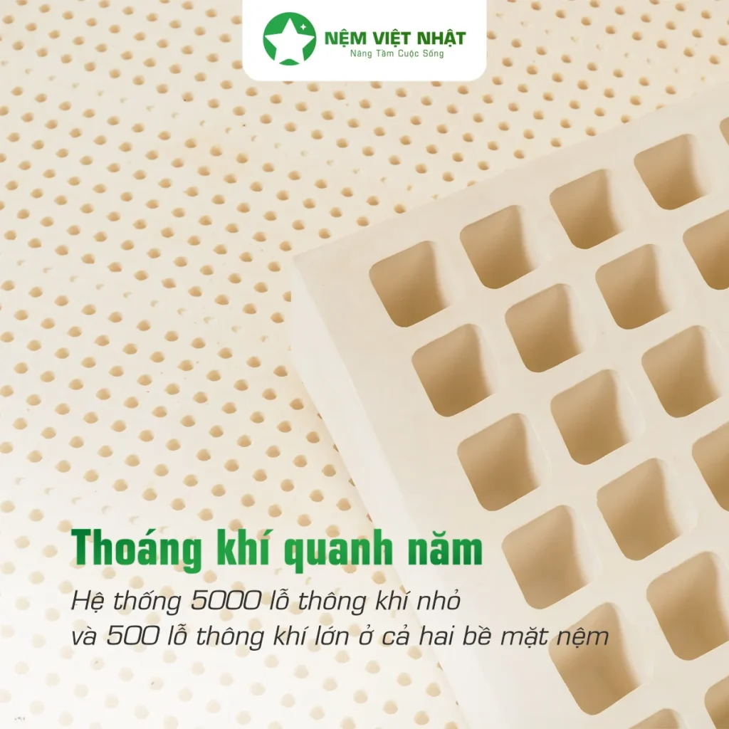 nệm cao su thiên nhiên Việt Nhật thoáng khí mát mẻ