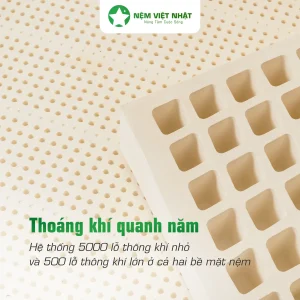 nệm cao su thiên nhiên Việt Nhật thoáng khí mát mẻ