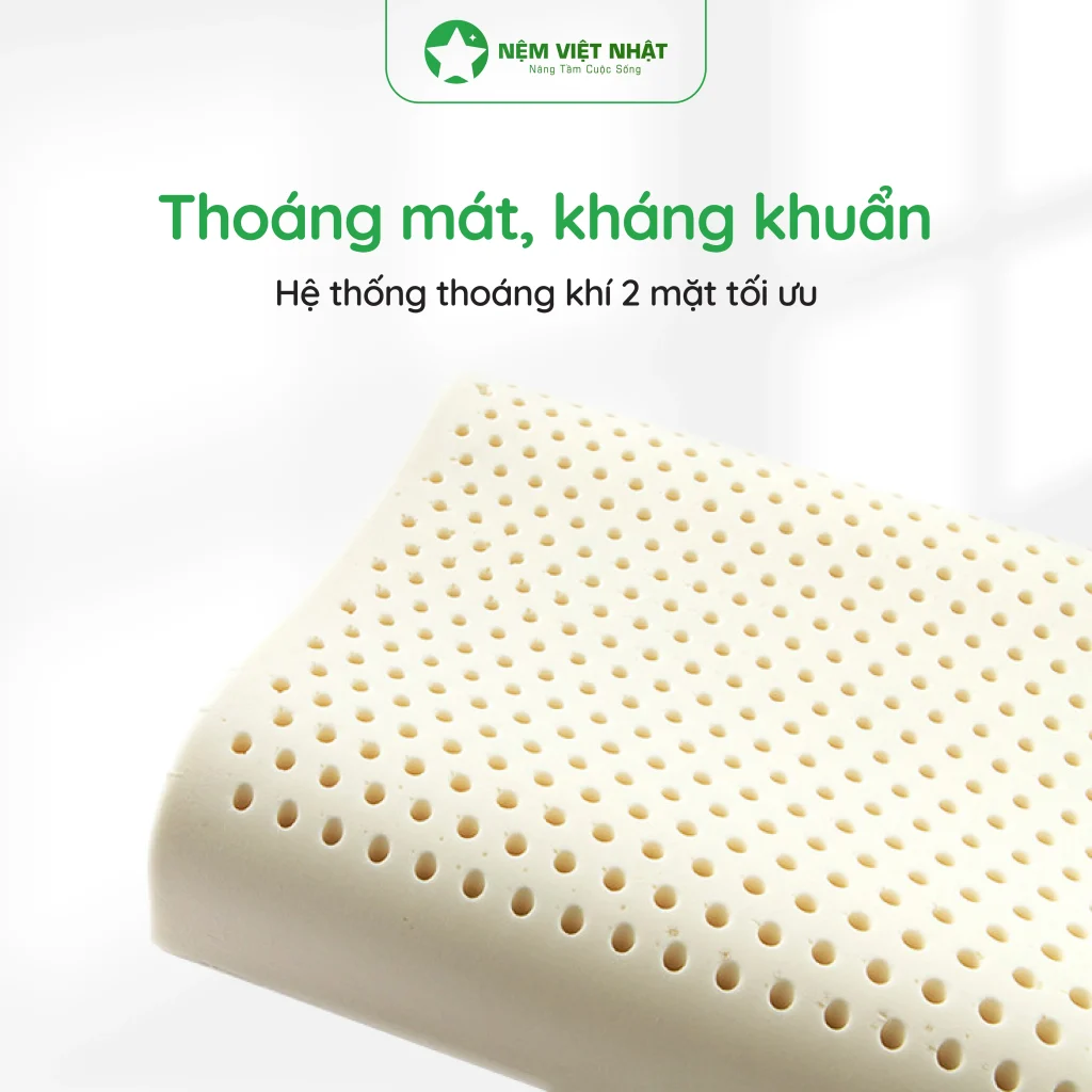 ruột gối cao su Thoáng mát