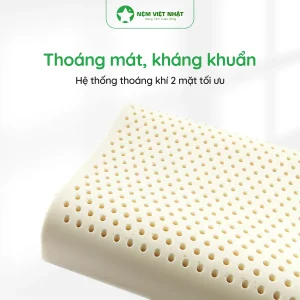 ruột gối cao su Thoáng mát