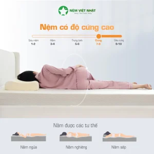 nệm cao su ultimate nâng đỡ đa vùng giảm đau lưng