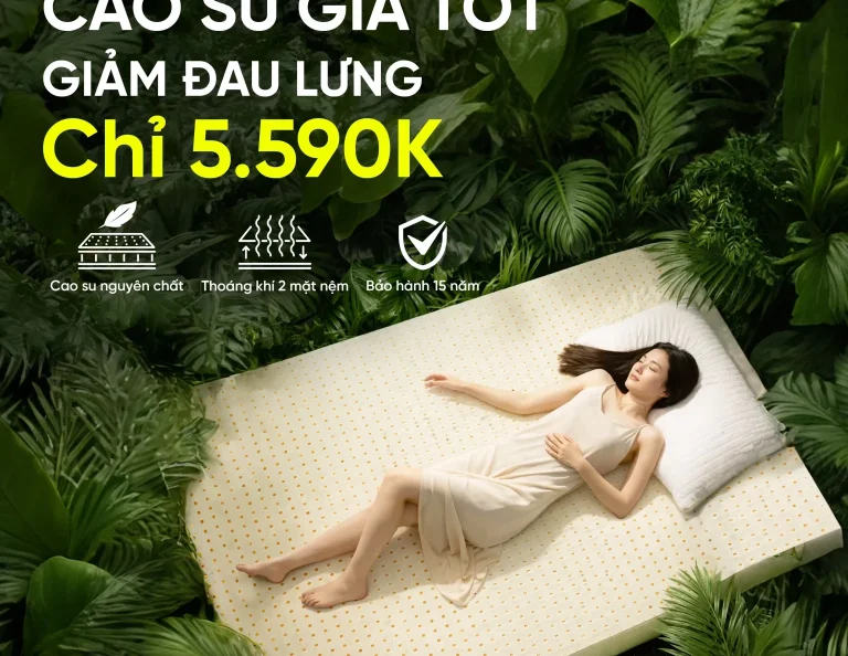 nệm cao su giá tốt