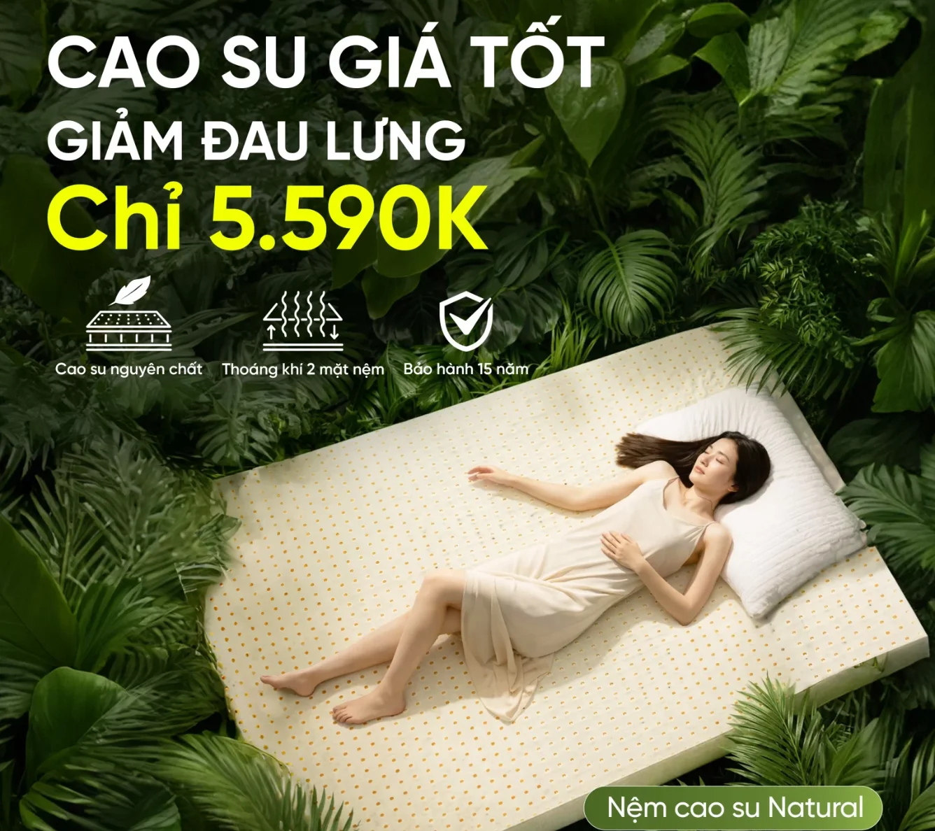 Banner di động nệm cao su thiên nhiên Việt Nhật chính hãng, giá tốt, bảo hành 15 năm