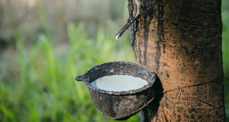 quy trình sản xuất nệm Việt Nhật đạt tiêu chuẩn ISO 9001 2015 chất lượng cao