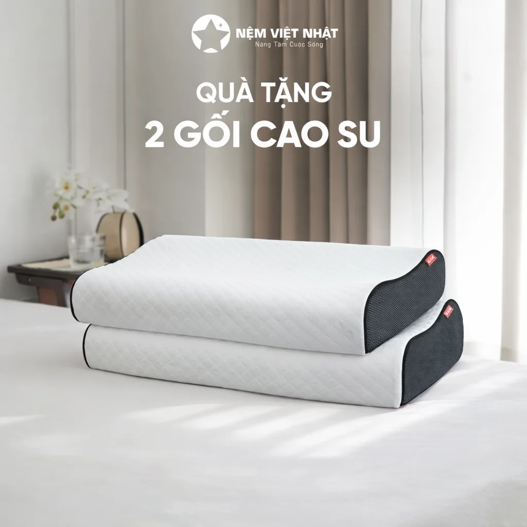 [Tặng] 02 Gối Cao Su Thiên Nhiên Lượn Sóng Việt Nhật