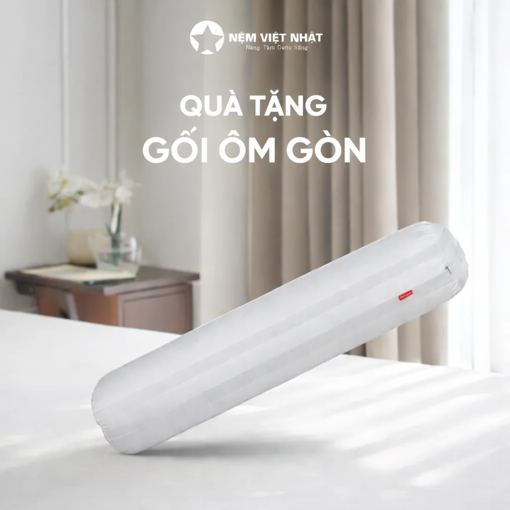 [Tặng] 01 Gối Ôm Cao Cấp Việt Nhật