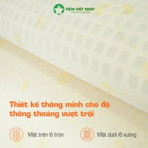 cấu tạo nệm foam latex gold việt nhật 2 lớp foam cao cấp