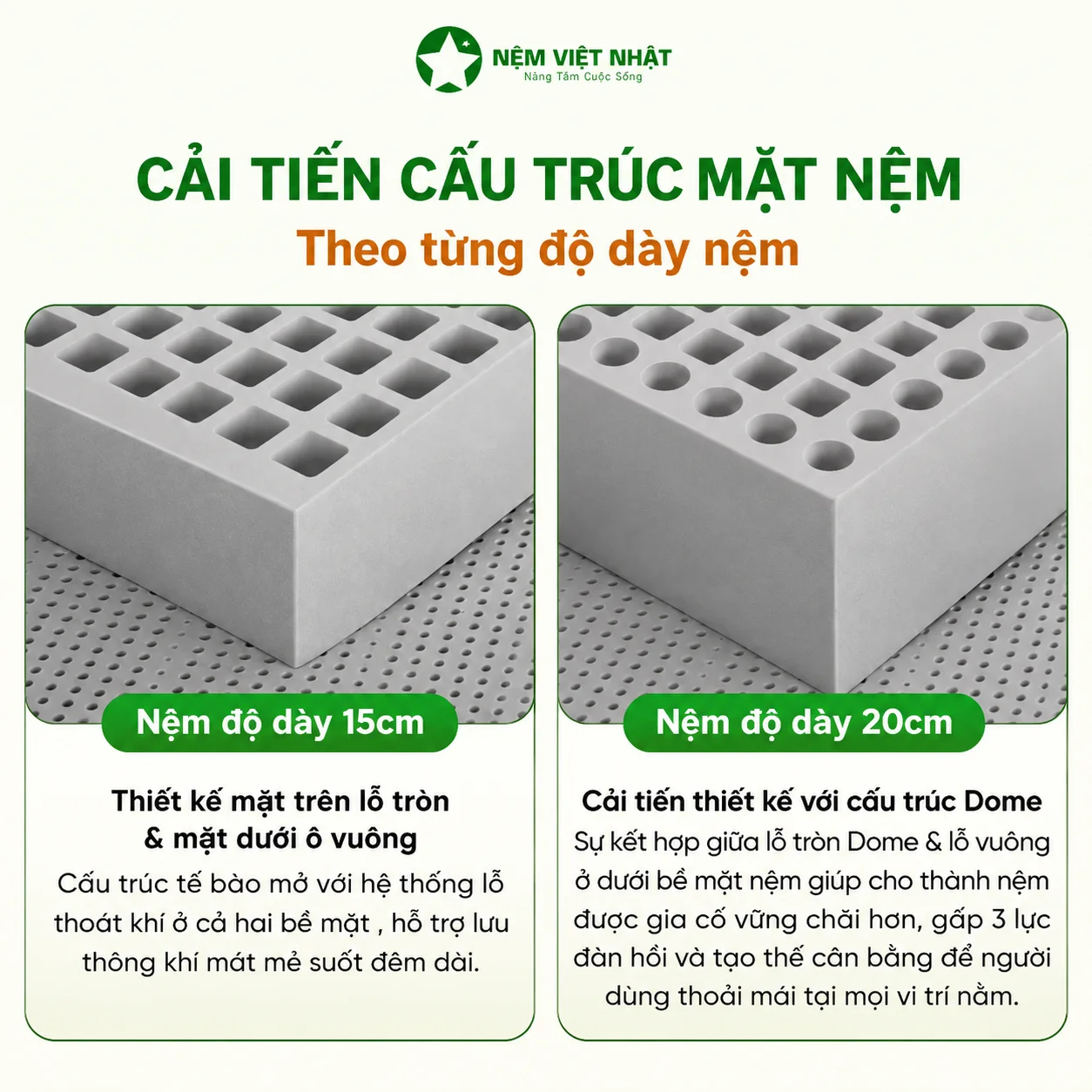 Thiết kế Nệm Cao Su Việt Nhật Coolax